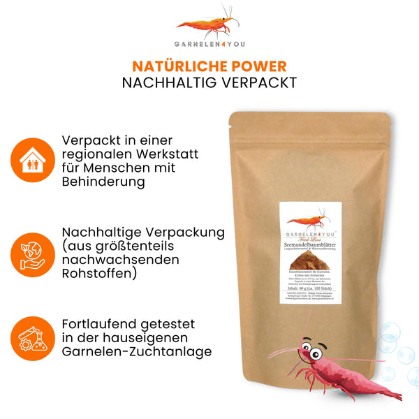 GARNELEN4YOU® Seemandelbaumblätter | 100 Nano-Blätter in 6-10 cm (60 g)