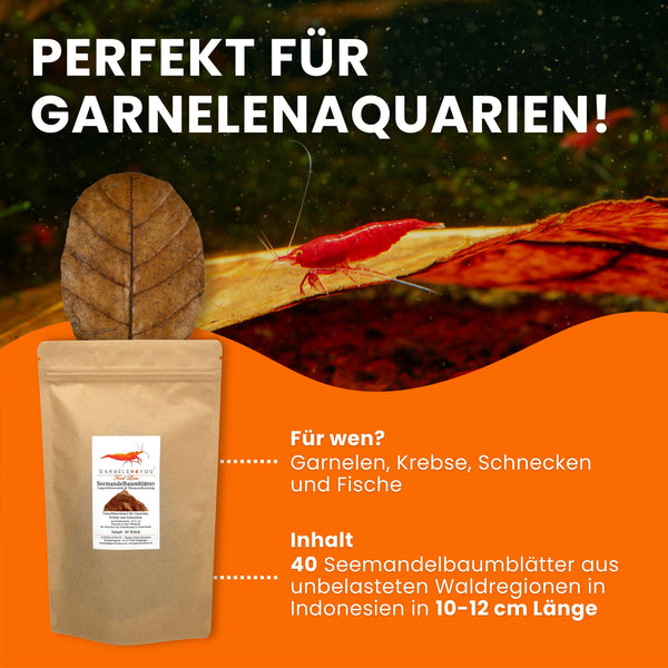 GARNELEN4YOU® Seemandelbaumblätter | 40x 10-12 cm