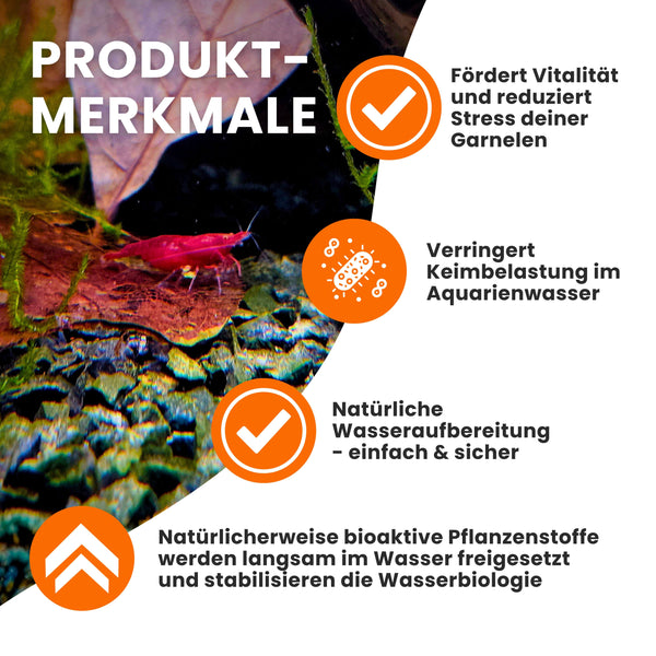GARNELEN4YOU® Seemandelbaumblätter | 20 Blätter in 10-15 cm