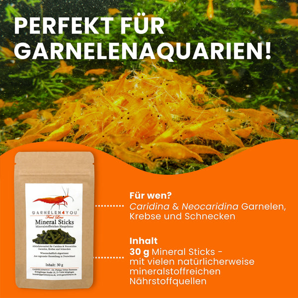 GARNELEN4YOU® Mineral Sticks | mineralstoffreiches Hauptfutter | Premium Garnelenfutter