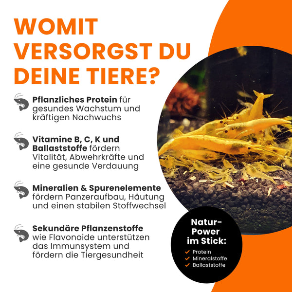 GARNELEN4YOU® Brennnessel Sticks | Premium Garnelenfutter