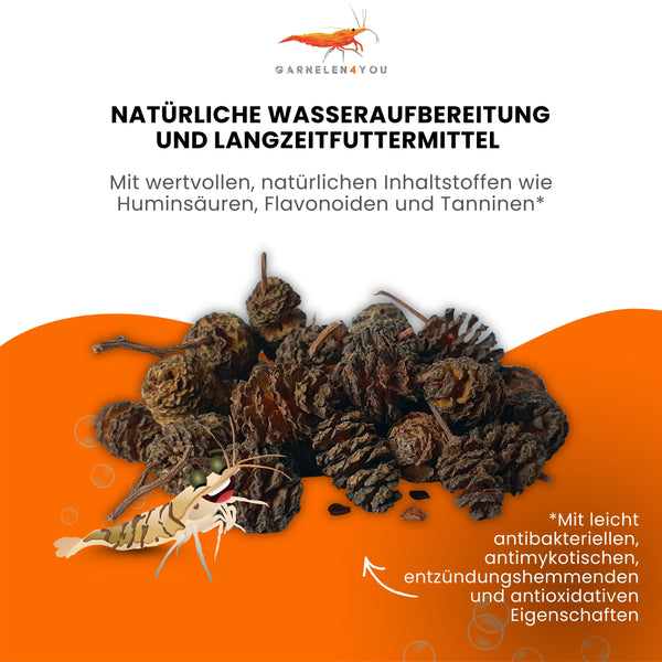 GARNELEN4YOU® Erlenzapfen | natürliche Wasseraufbereitung & Langzeitfuttermittel