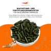 GARNELEN4YOU® Neo Algen Sticks | Wachstums- & Fortpflanzungs-Booster | Premium Garnelenfutter