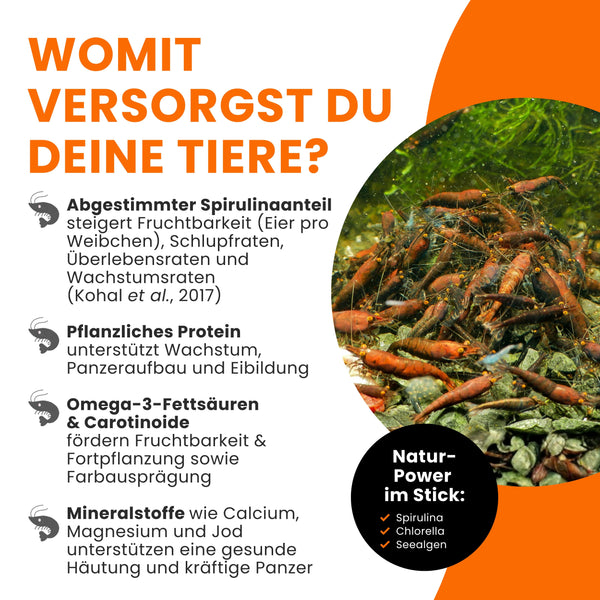 GARNELEN4YOU® Neo Algen Sticks | Wachstums- & Fortpflanzungs-Booster | Premium Garnelenfutter