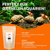 GARNELEN4YOU® Erlenzapfen | natürliche Wasseraufbereitung & Langzeitfuttermittel