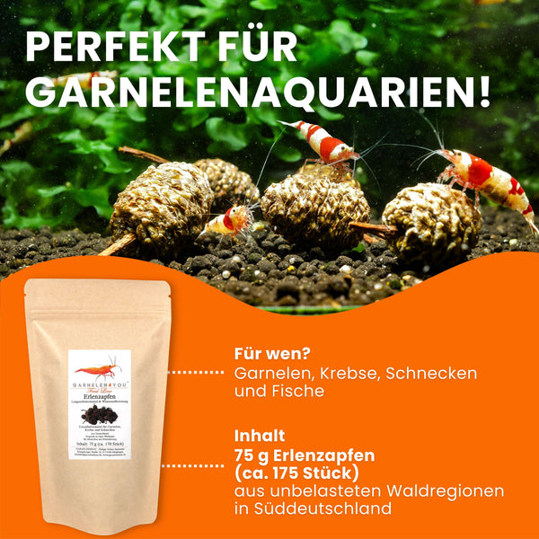 GARNELEN4YOU® Erlenzapfen | natürliche Wasseraufbereitung & Langzeitfuttermittel