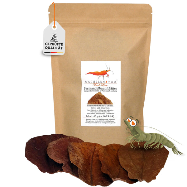 GARNELEN4YOU® Seemandelbaumblätter | 100 Nano-Blätter in 6-10 cm (60 g)