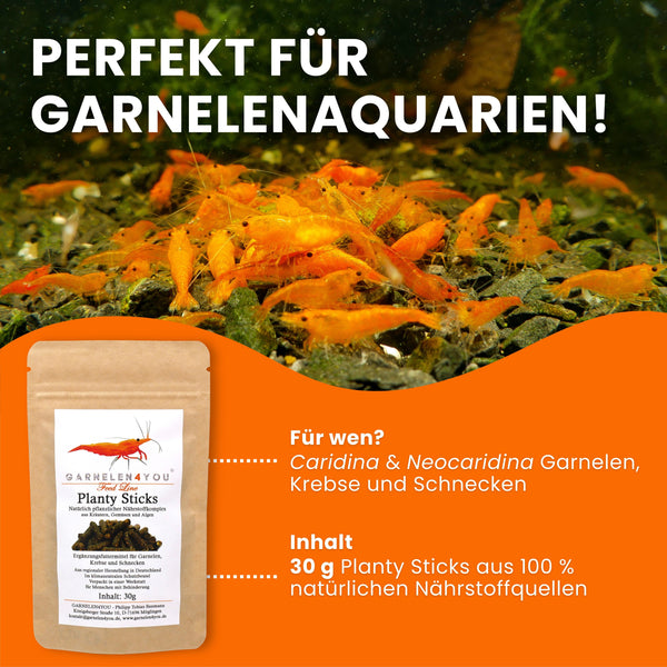 GARNELEN4YOU® Planty Sticks | pflanzliches Hauptfutter | Premium Garnelenfutter