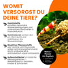GARNELEN4YOU® Erlenzapfen | natürliche Wasseraufbereitung & Langzeitfuttermittel