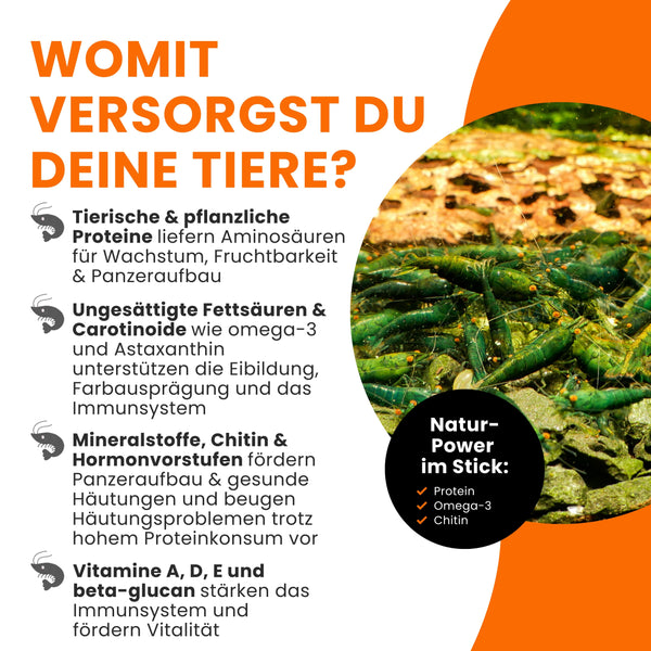 GARNELEN4YOU® Carny Sticks | proteinreiches Hauptfutter | Premium Garnelenfutter