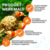 GARNELEN4YOU® Erlenzapfen | natürliche Wasseraufbereitung & Langzeitfuttermittel