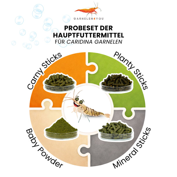 GARNELEN4YOU® Probeset Hauptfutter | Premium Garnelenfutter