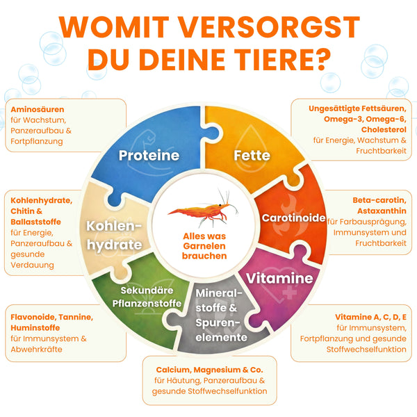 GARNELEN4YOU® Hauptfutter-Bundle: Carny & Planty & Mineral Sticks + Baby Powder für Caridina Garnelen | Premium Garnelen-Hauptfutter