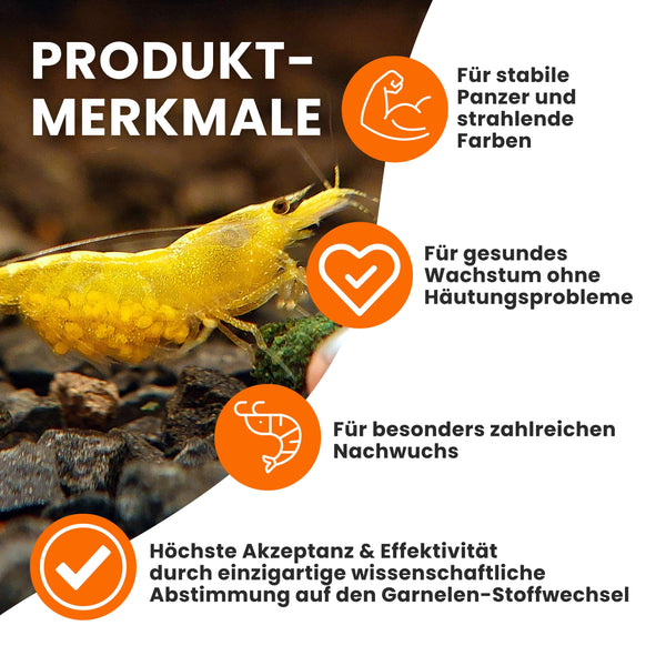 GARNELEN4YOU® Hauptfutter-Bundle: Carny & Planty & Neo Algen Sticks + Baby Powder für Neocaridina Garnelen | Premium Garnelen-Hauptfutter