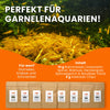 GARNELEN4YOU® Probeset pflanzliche Einzelfuttermittel | 8 Sorten Premium Garnelenfutter