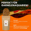 GARNELEN4YOU® Seemandelbaumblätter | 100 Nano-Blätter in 6-10 cm (60 g)