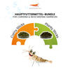 GARNELEN4YOU® Hauptfutter-Bundle: Carny & Planty für Caridina und Neocaridina | Premium Garnelen-Hauptfutter