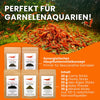GARNELEN4YOU® Hauptfutter-Bundle: Carny & Planty & Neo Algen Sticks & Mineral Sticks + Baby Powder für Neocaridina Garnelen | Premium Garnelen-Hauptfutter