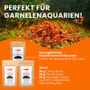 GARNELEN4YOU® Hauptfutter-Bundle: Carny & Planty & Neo Algen Sticks für Neocaridina Garnelen | Premium Garnelen-Hauptfutter