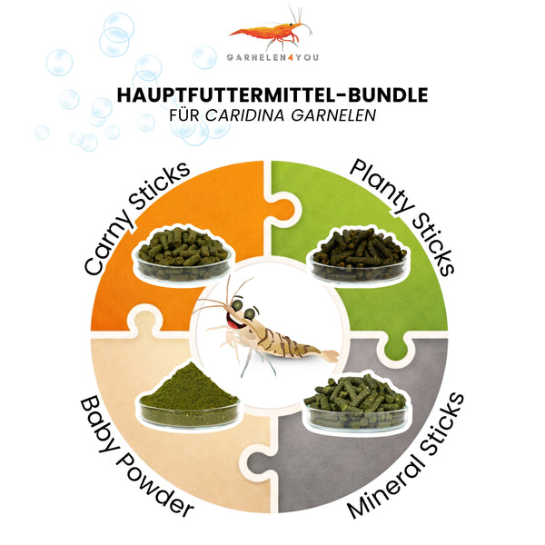 GARNELEN4YOU® Hauptfutter-Bundle: Carny & Planty & Mineral Sticks + Baby Powder für Caridina Garnelen | Premium Garnelen-Hauptfutter