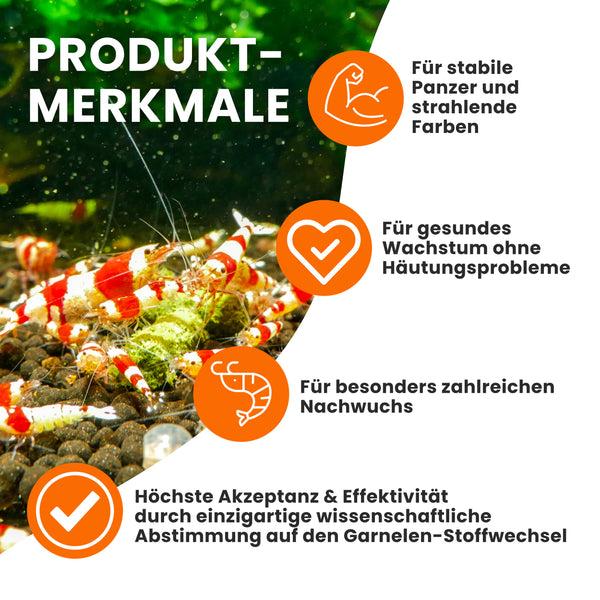 GARNELEN4YOU® Hauptfutter-Bundle: Carny & Planty & Mineral Sticks + Baby Powder für Caridina Garnelen | Premium Garnelen-Hauptfutter