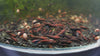 GARNELEN4YOU® Red Onyx OE Garnelen (hohe Farbqualität) - Orange eye Neocaridina davidi